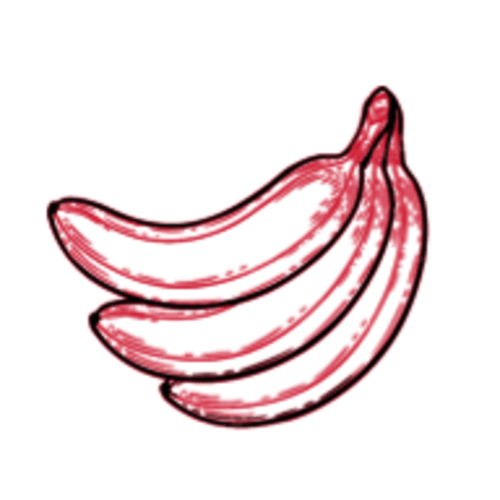 Organic Virgin Coconut Oil | Trader Joe's