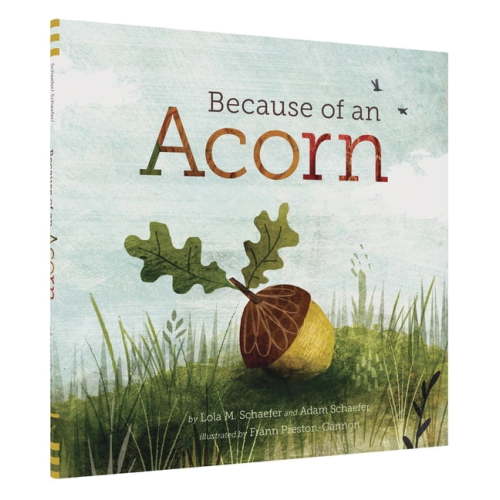 Because of an Acorn (Hardcover)