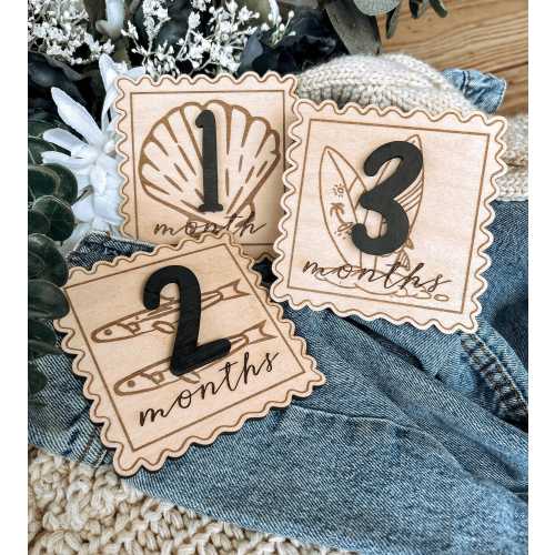 Monthly Milestone Discs