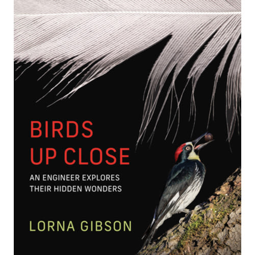 Birds Up Close: An Engineer Explores Their Hidden Wonders | Porter Square Books