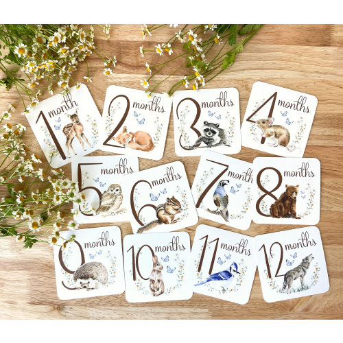 Woodland Milestone Cards, Cute Milestones Cards, Baby Boy Milestones, Watercolor Milestone Cards, Woodland Nursery Decor, Baby Shower Gift
