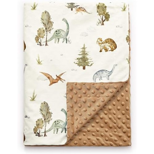 PHF Minky Baby Blanket for Boys Girls, 30x40 Inches Soft Double Layer Baby Blankets with Cute Dinosaurs, Receiving Blanket Bed Throws for Newborn, Infant, Babies