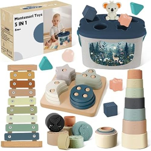 Montessori Toys for 6+ Month Old, Baby Toys for 6-12 Months Boys Girls Gift