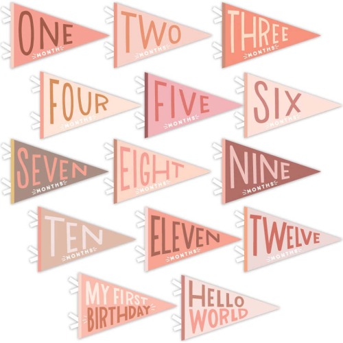 Blushing Meadow Petit Milestone Pennant – Maisonette