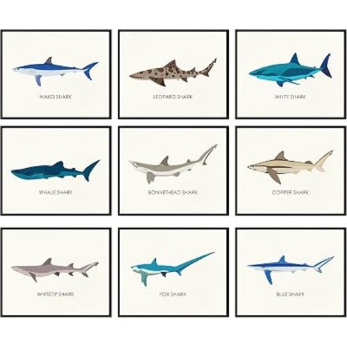 97 Decor Shark Wall Art, 9 Vintage Sea Life Prints, 8x10, Unframed