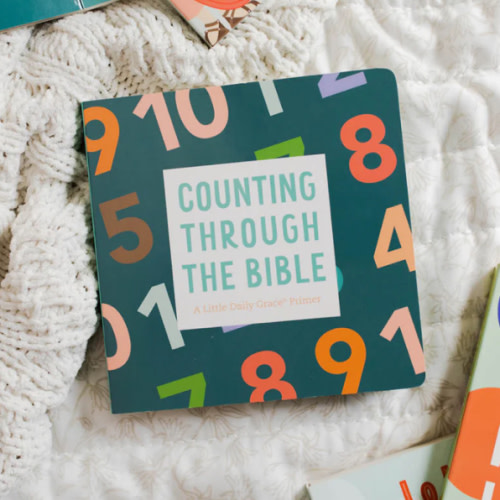 Counting Through the Bible Board Book – The Daily Grace Co.
