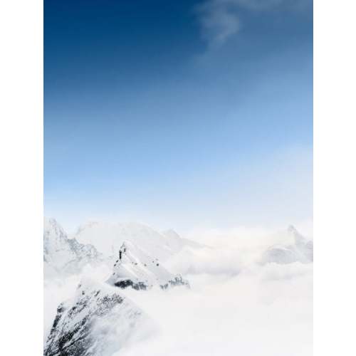 Briley Metallic Faux-Leather Ballet Flat