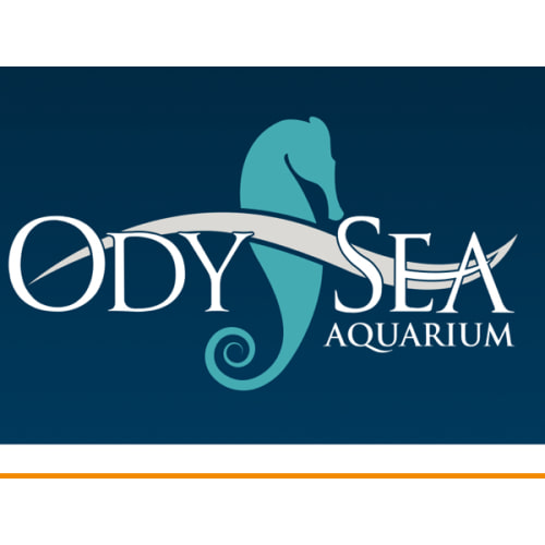 Odysea Aquarium Web Store :: Shopping Cart