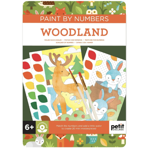 Woodland Paint by Numbers from Handzy in Covington