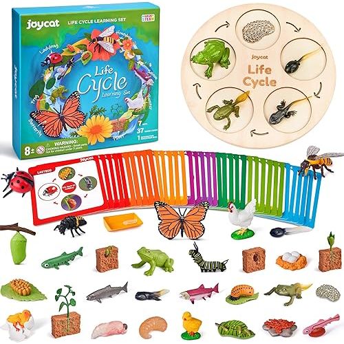 JoyCat Life Cycle Learning Education Toys, Insect Caterpillar to Butterfly kit, Ladybug, Bee, Tadpole to Frog Kit Life Cycle Toys for Kids, Preschool Learning Activities for Kids (Animals and Plant)