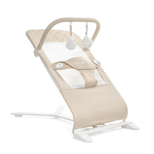 Baby Delight Alpine Deluxe Portable Bouncer, Organic Oat