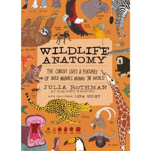 Wildlife Anatomy - by Julia Rothman (Paperback)