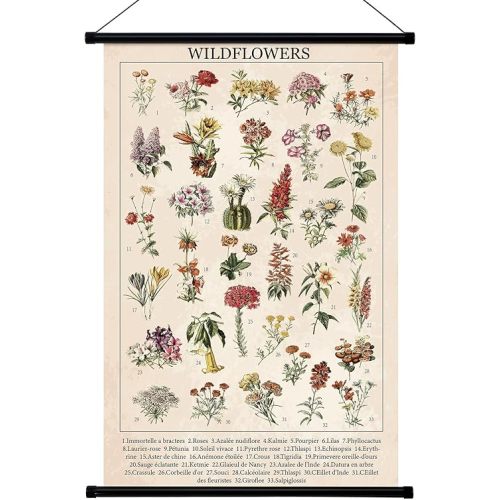 Geyee Wildflowers Vintage Poster Wall Decor Rustic Hanging Art Illustrative Reference Chart Prints Picture for Living Room Office Classroom Bedroom Frame, 15.8 x 23.6 Inch