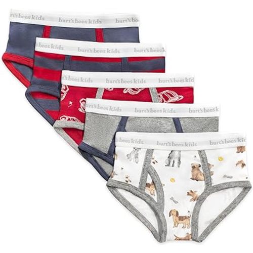Burt's Bees Baby Boys' Organic Cotton Brief Underwear, 5-Pack