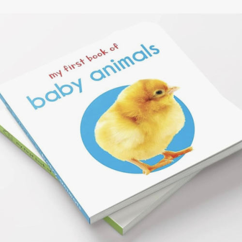 My First Book of Baby Animals: First Board Book