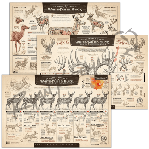 Art of Hunting Bundle Paper Art Print