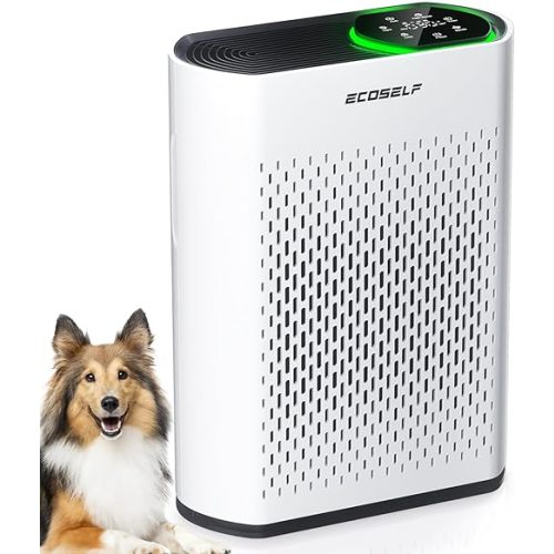 Powerful Air Purifiers for Home Large Room Up to 2400 Ft² with Air Quality Monitor 20dB Sleep Mode, Air Purifier for Bedroom Office Living Room HAP602 White