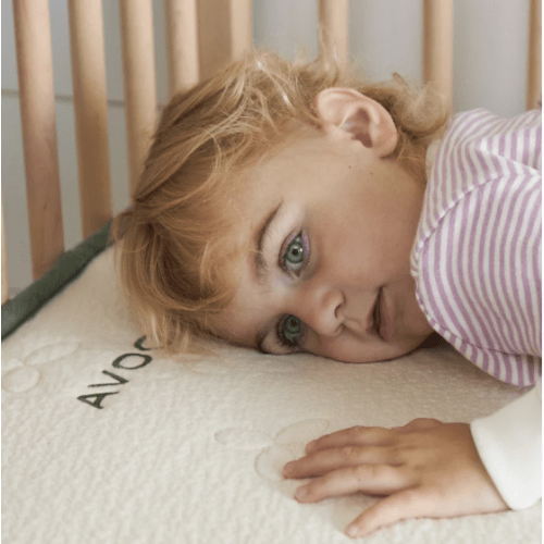 Organic Crib to Toddler Mattress | Avocado Green Mattress