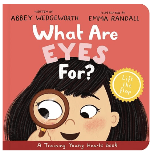 What Are Eyes For? Board Book: A Lift-the-Flap Board Book