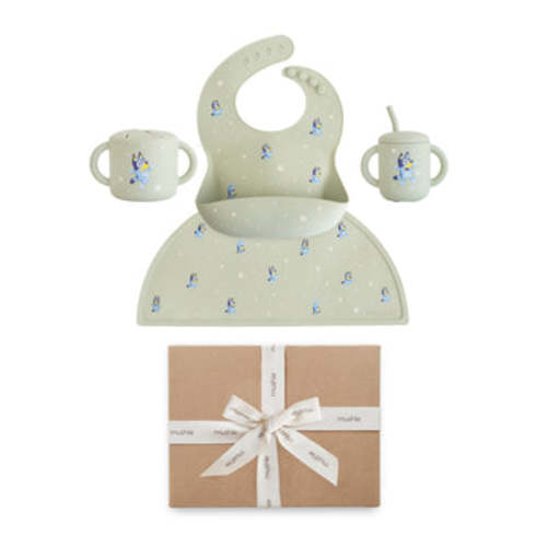 Bluey Gift Set