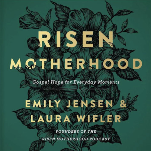 Risen Motherhood: A Gospel Centered Motherhood Book for Applying Biblical Truth to Everyday Parenting