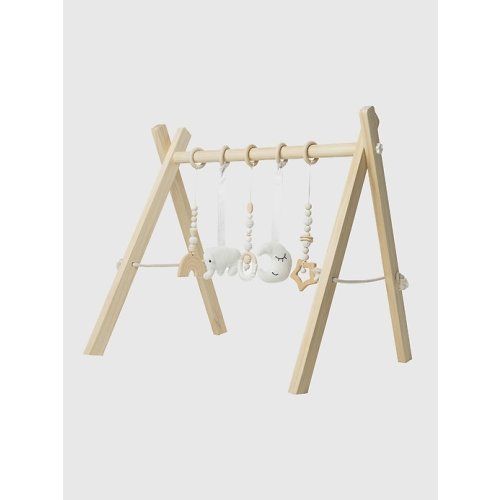 Comfy Cubs Baby Play Gym