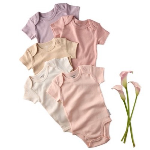 Butterblu AVERY 5-Pack Short Sleeve Bodysuits Sorbet Newborn