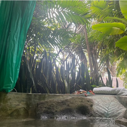 Parental Pampering Fund