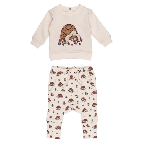 Organic Cotton Fleece Graphic Sweatshirt & Joggers Set, 3-6M