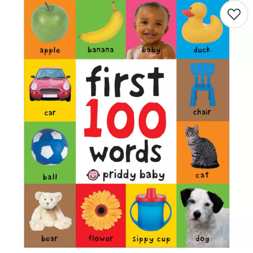 First 100 Words Book