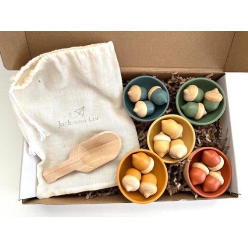 Acorn Sorting Montessori Toys Wooden Toys - Etsy