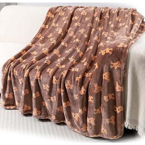 Warm Soft Toddler Fleece Blankets for Boys & Girls with Cartoon Bear Pattern Print - Cozy Fuzzy Plush Flannel Kids Throw Blanket for Daycare & School - 50x60 inches