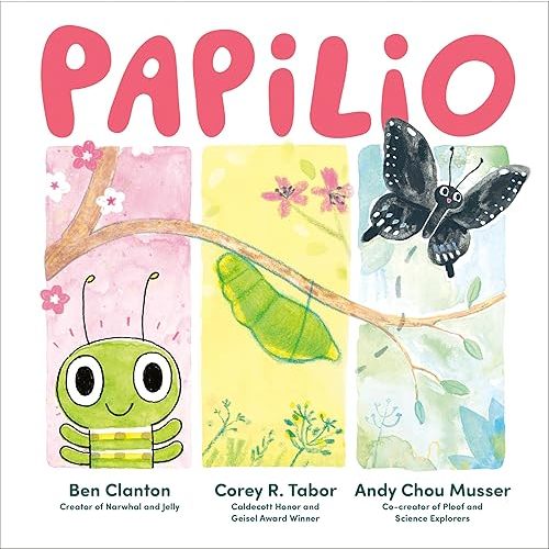 Papilio Hardcover – Picture Book, March 4, 2025