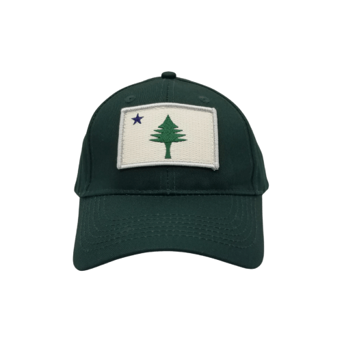 Youth Maine Flag Structured Hat