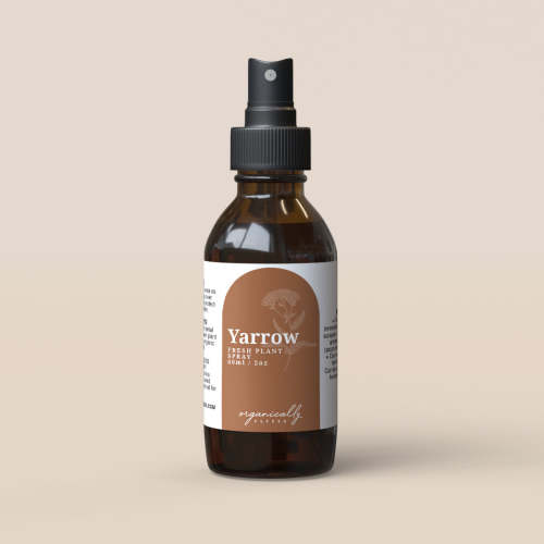 Yarrow Spray: Wound Support & Bug Spray – Organically Alyssa