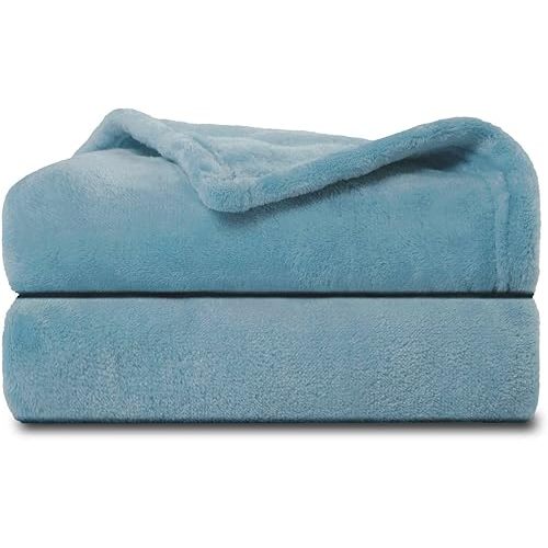 NANPIPER Baby Blankets, Super Soft Fleece Fuzzy Blanket for Toddler, Luxury Cozy Lightweight Microfiber Plush Blanket-Throw Size 30"x40",Light Blue