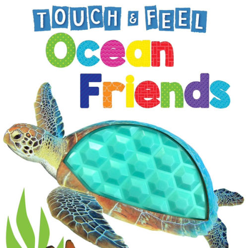 Ocean Friends - Touch and Feel Board Book - Sensory Board Book