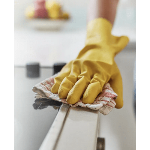 House Cleaning Service