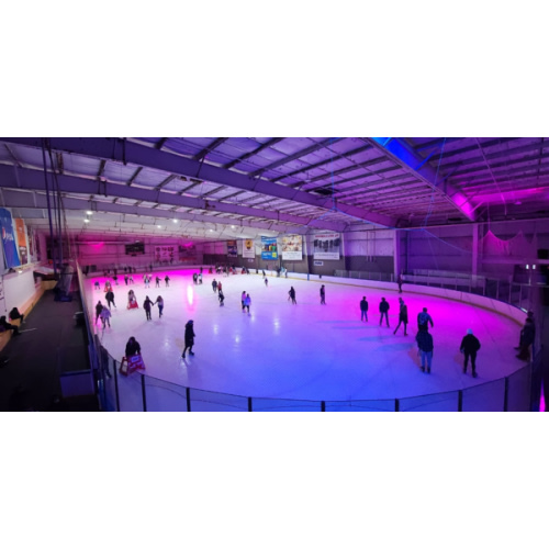 Public Ice Skating at the Iceplex