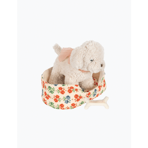 Madeleine Puppy in Fiola