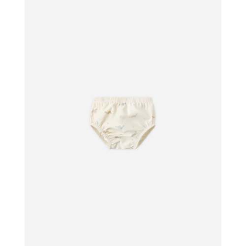 Swim Diaper Ocean Gingham