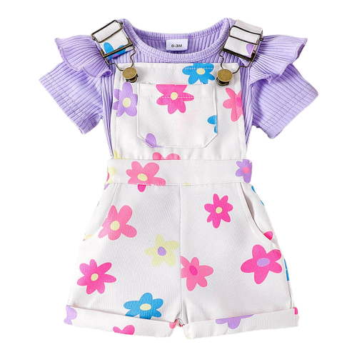 Toddler Baby Girl 2PCS Short Sleeve Tops Elastic Waist Shorts Outfits Set Girls Summer Set 0-3 Years,3-6 Months