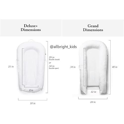 Deluxe+ Dock Replacement Pad (Size Deluxe +)