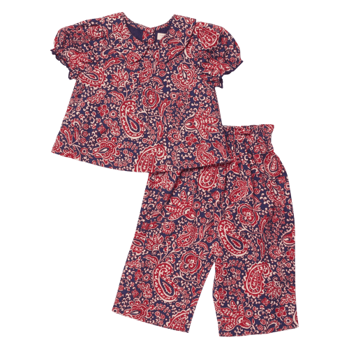Baby Girls Dawson 2-PC Set - Paisley Vines – Pink Chicken