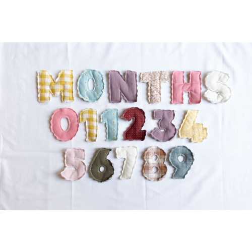Custom Quilted Fabric Monthly Milestone Number set | Birthday Banner | Monthly Photo