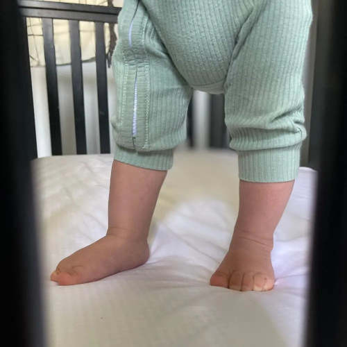 Signature Sateen Crib Fitted Sheet