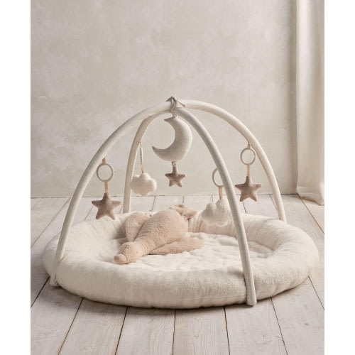 Playmat & Gym - Welcome to the World Duckling