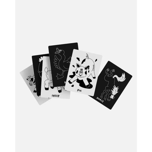 Art Cards  / Farm Animals