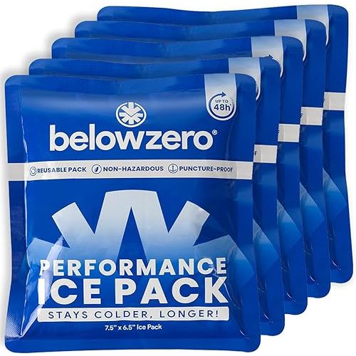 Below Zero Prefilled Reusable Ice Packs for Coolers | Long Lasting Freezer Ice Blocks for Camping, Lunch Bags & More | 48 Hour Cooler Ice Pack Technology