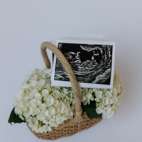 Newborn Photo Session